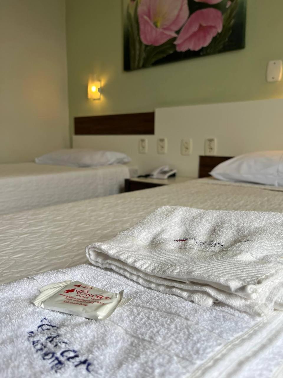 Oscar Palace Hotel - Centro De Tubarao Ngoại thất bức ảnh
